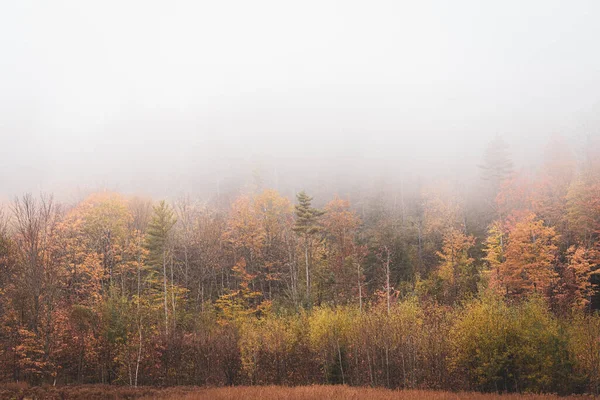 Brouillard Couleurs Automne Andover Maine — Photo