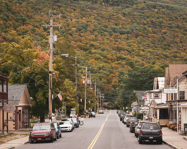 Main Street Med Höstfärg Phoenicia Catskill Mountains New York — Stockfoto