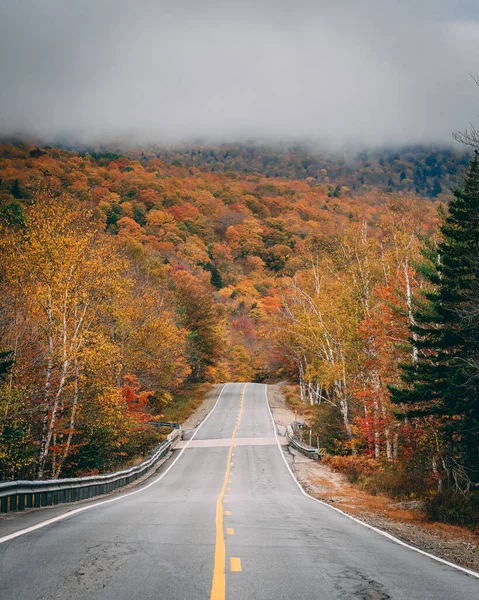 Φθινόπωρο Χρώμα Ένα Δρόμο Στο Grafton Notch State Park Maine — Φωτογραφία Αρχείου