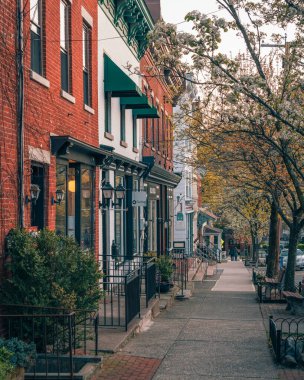 Ağaçlarla kaplı kaldırım tuğlalı binalar - Cold Spring, New York 'ta ana cadde
