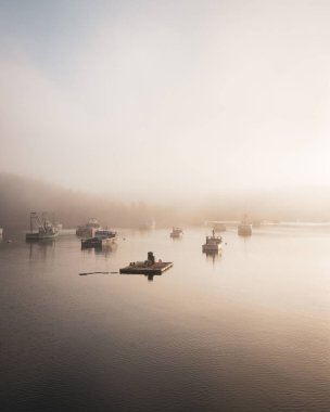Little River 'da tekneler, Cutler, Maine limanında.