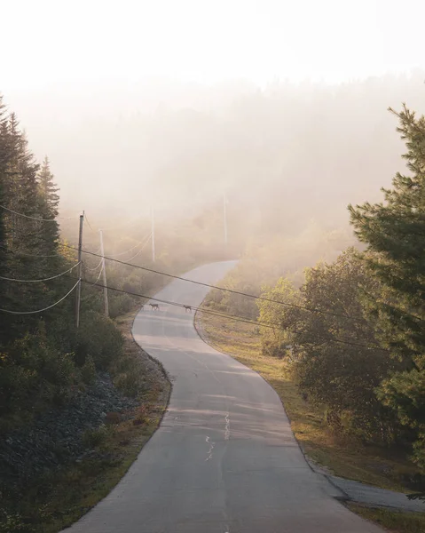 Une Route Dans Brouillard Cutler Maine — Photo