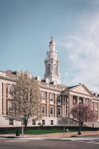 Schenectady City Hall Architecture Schenectady Nueva York — Foto de Stock