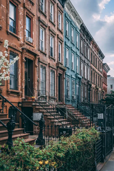Brownstones Bushwick Brooklyn Nueva York — Foto de Stock