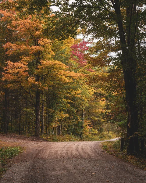 ニューヨーク州キャッツキル山脈の紅葉の道 — ストック写真