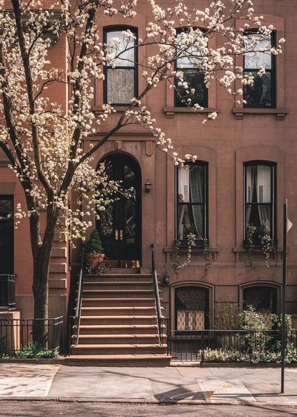 Brownstone Brooklyn Heights Brooklyn Nueva York — Foto de Stock