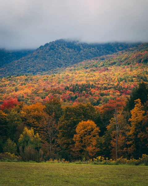 Cor Outono Nas Catskill Mountains Nova York — Fotografia de Stock