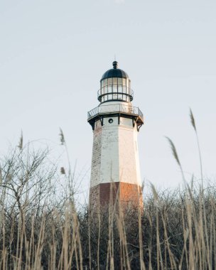 Montauk Point Eyalet Parkı 'ndaki deniz feneri, Hamptons, New York