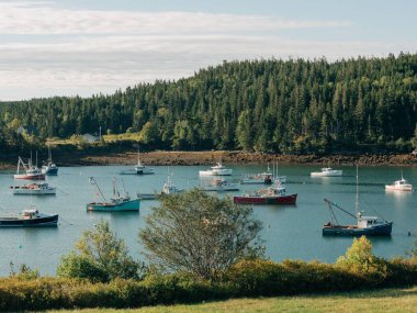 Cutler, Maine limanında tekneler