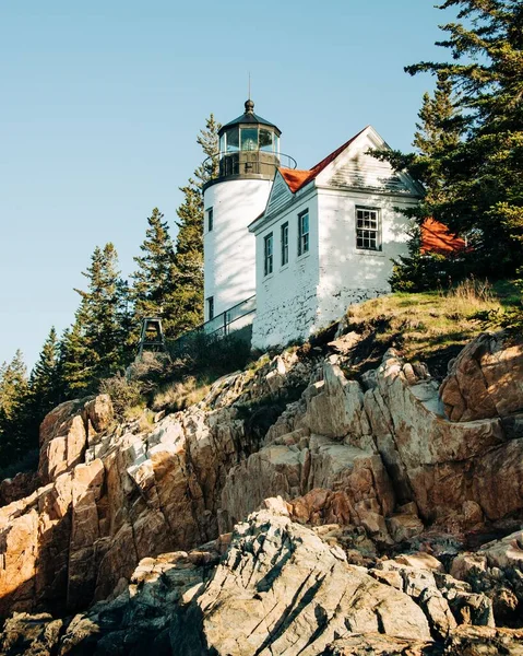 Faro Bass Harbor Parque Nacional Acadia Maine —  Fotos de Stock