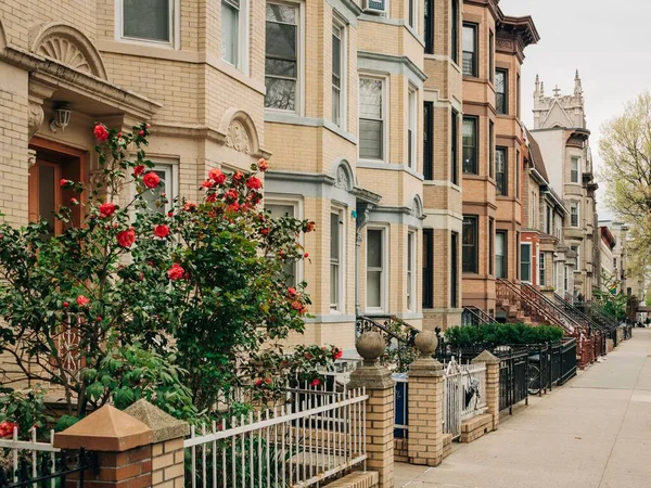 Edificios Residenciales Greenpoint Brooklyn Nueva York — Foto de Stock