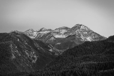 Uinta-Wasatch-Cache Ulusal Ormanı, Utah, American Fork Canyon 'daki Alp Döngü Sahne Yolu yakınlarındaki dağlar