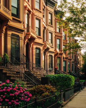 Brooklyn, New York 'taki Bedford-Stuyvesant mahallesinde Brownstone' lar