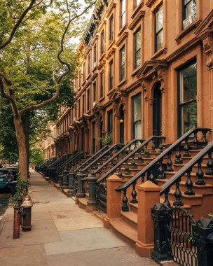 Brownstones, Cobble Hill, Brooklyn, New York 'lu ağaçlarla kaplı güzel bir cadde.