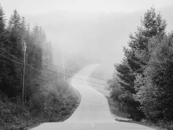 Une Route Dans Brouillard Cutler Maine — Photo