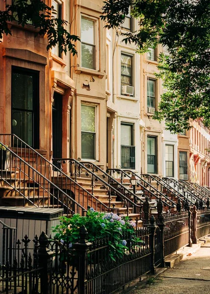 Brownstones Bairro Bedford Stuyvesant Brooklyn Nova Iorque — Fotografia de Stock