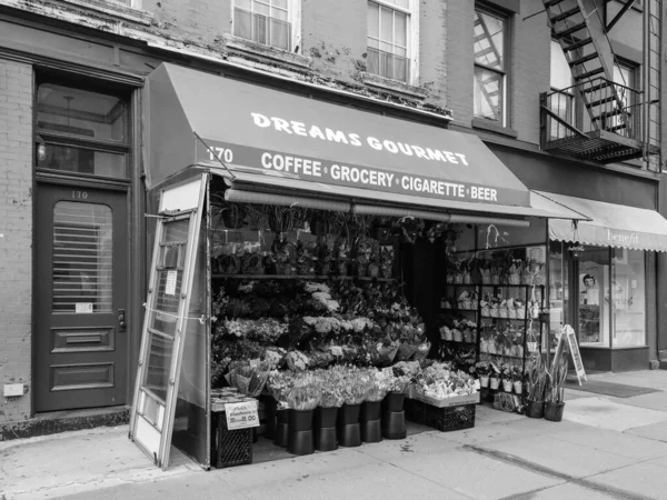 Dreams Gourmet Gastronomia Segno Cobble Hill Brooklyn New York City — Foto Stock