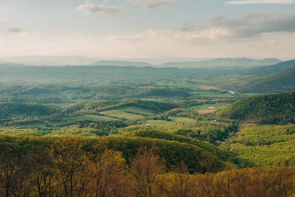 Ett Landskap Med Träd Och Kullar Blue Ridge Parkway Fancy — Stockfoto