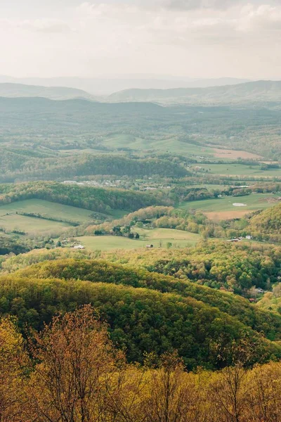 Пейзаж Деревьями Холмами Blue Ridge Parkway Fancy Gap Вирджиния — стоковое фото