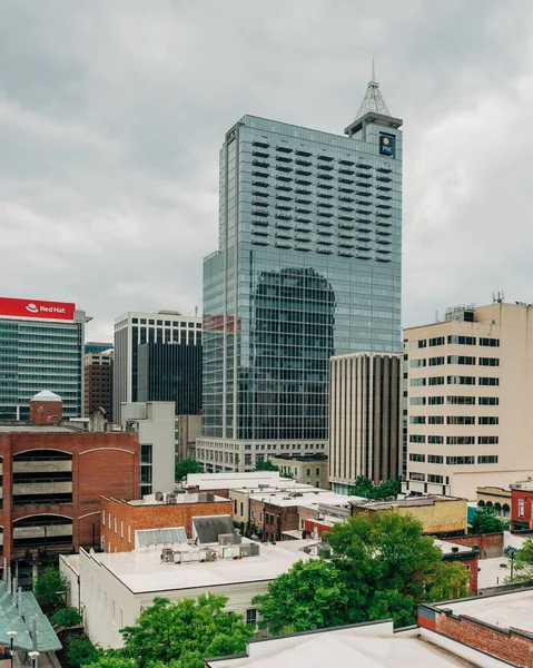 View Skyline Downtown Raleigh North Carolina — Stock Photo, Image