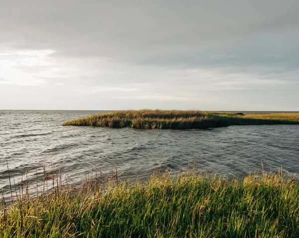 Zone Umide Con Erba Paludosa Nelle Outer Banks Carolina Del — Foto Stock