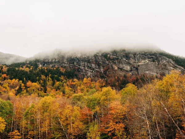 ใบไม วงและหมอกใน Grafton Notch State Park Newry Maine — ภาพถ่ายสต็อก