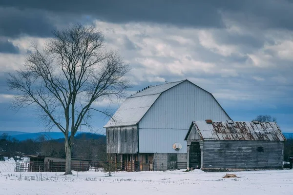 Barn Farm Snow Gettysburg Pennsylvania — Stock Photo, Image