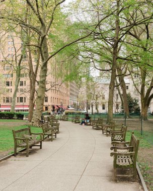 Banklar ve patika ve Rittenhouse Meydanı Parkı, Philadelphia, Pennsylvania