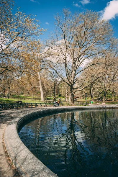 Cuerpo Agua Con Árboles Alrededor Central Park Nueva York — Foto de Stock