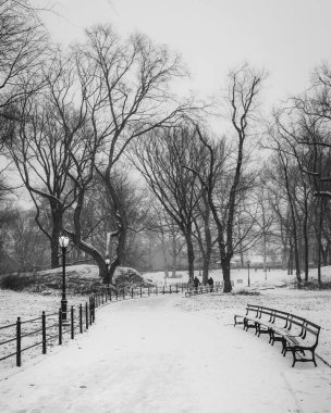 Central Park, Manhattan, New York 'ta karlı bir yürüyüş.