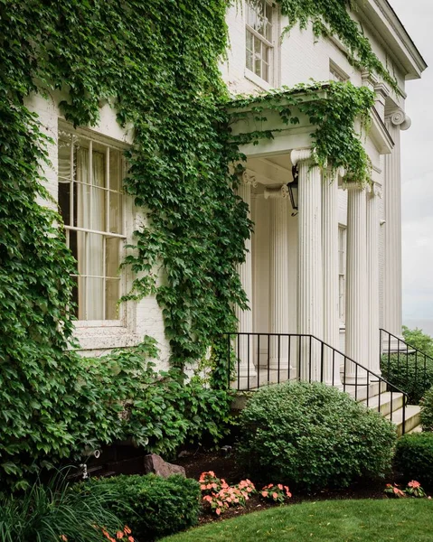 White House Covered Ivy Burlington Vermont — Stock Photo, Image
