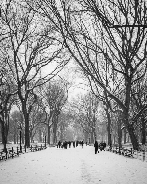 Snowy walkway in Central Park, Manhattan, New York City
