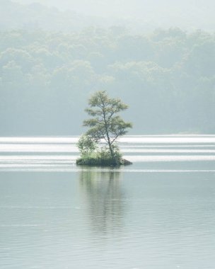 Küçük bir adada, Kent Pond 'da, Killington, Vermont' ta.