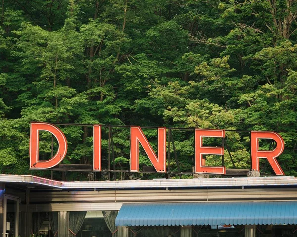 Martindale Chief Diner Neon Sign Hudson Valley New York — Stock Photo, Image