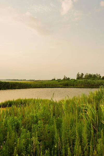 Zones Humides Green Island Long Island New York — Photo