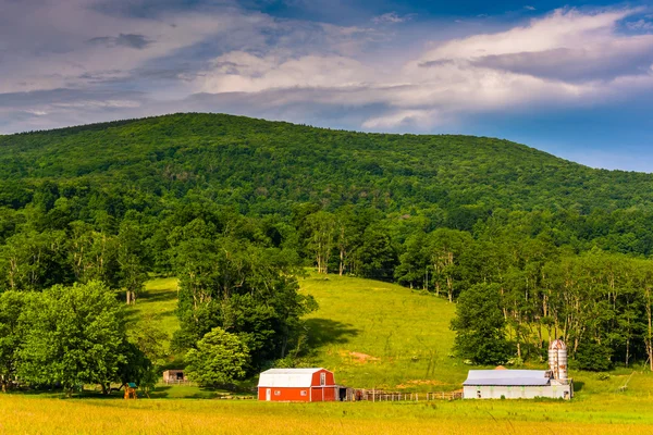 Barns and a mountain in the rural Potomac Highlands of West Virg — Stock Photo, Image