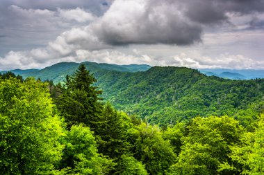 Appalaş Dağları newfound gap roa gelen dramatik görünüm