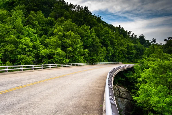 Brücke auf dem Blauen Grat Parkway in North Carolina. — Stockfoto