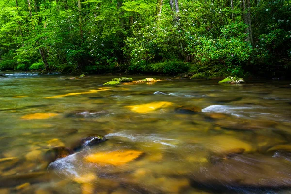 Cascate nel fiume Oconaluftee, a Great Smoky Mountains Nati — Foto Stock