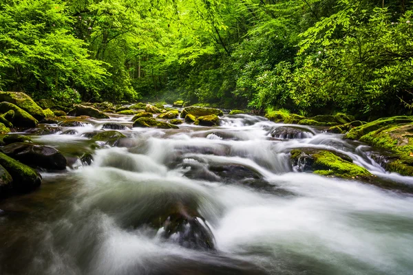 Oconaluftee Nehri'nde büyük smoky Dağları nati Cascade'lerde — Stok fotoğraf