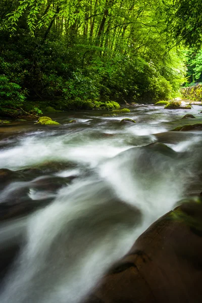 Cascades i floden oconaluftee, på great smoky mountains nati — Stockfoto