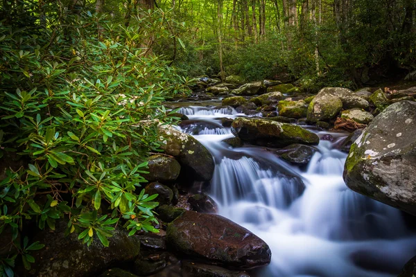 Cascades on Roaring Fork, in Great Smoky Mountains National Park — Stock Photo, Image