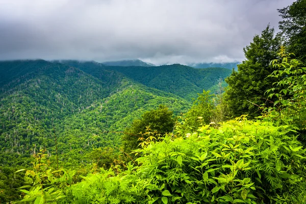 Veduta drammatica delle montagne degli Appalachi da Newfound Gap Roa — Foto Stock