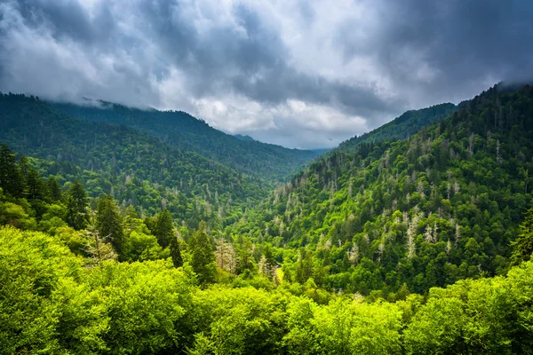 Vista dramática das Montanhas Apalaches de Newfound Gap Roa — Fotografia de Stock