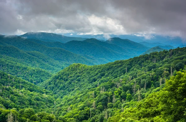 Veduta drammatica delle montagne degli Appalachi da Newfound Gap Roa — Foto Stock