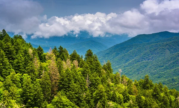 Vista dramática das Montanhas Apalaches de Newfound Gap Roa — Fotografia de Stock