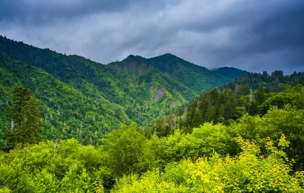 Vista dramática das Montanhas Apalaches de Newfound Gap Roa — Fotografia de Stock