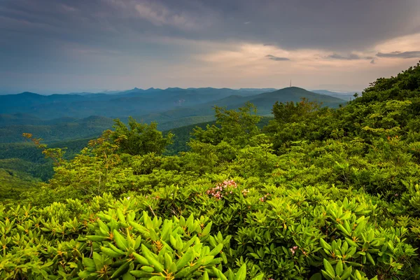Evening view from Rough Ridge, near the Blue Ridge Parkway in No — Stock Photo, Image