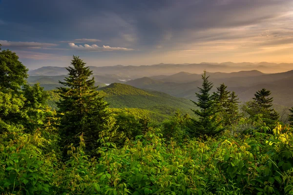 Evening view of the Appalachian Mountains from the Blue Ridge Pa — Stock Photo, Image