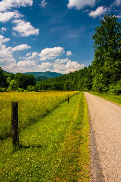Farm field along a road in the rural Potomac Highlands of West V — Stock Photo, Image